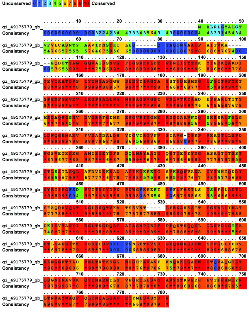 BauA sequence homology